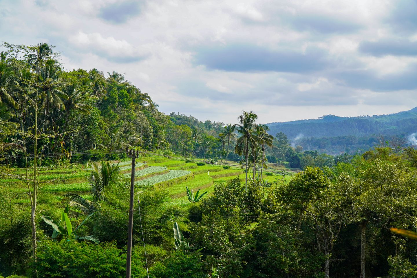 Desa Krisik Landscape 1