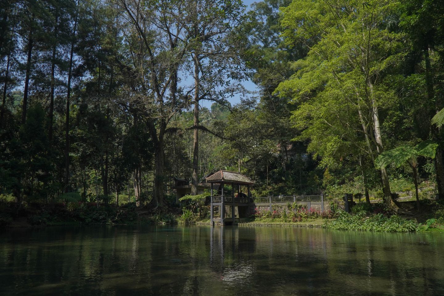 Desa Krisik Landscape 4